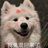 小九