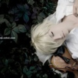 Alicy.泠