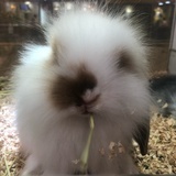 叶秋无敌最俊朗