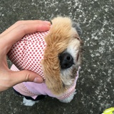 谁谁谁谁谁
