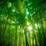 入世