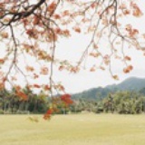 四点十分