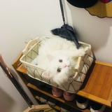 小李同学的心事