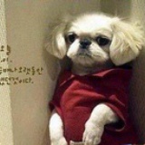 七彩