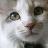 中二病有所好转