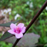 June芳逛时光
