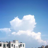 藏鱼俗常