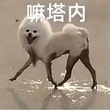 言中无物