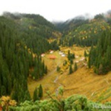 jaymei