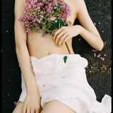 鸡米或者是哈里