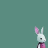 一只兔