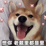 Blqck