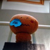 dreamer
