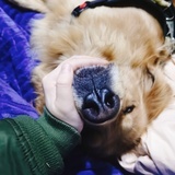 莫说话。