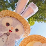 好momo在线营业