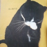 chatte