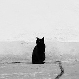 尧果子