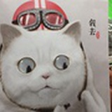 繁华落尽