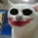 不辣的皮特