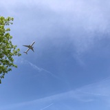 爱旅行呀