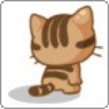 阿兔猫