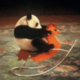 八戒是大砖
