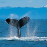 lijuan0302