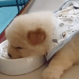暖暖春光