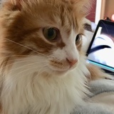 Vicky66