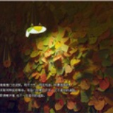 左驕十字