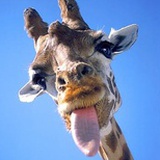 气球小姐飞不动