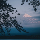 景油油