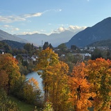 后知后觉的生物