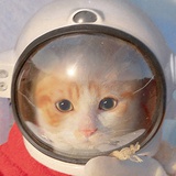 猫族少年