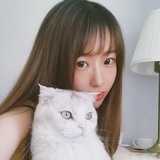 绵君