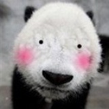 怀春不遇熊美丽