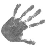刺客521
