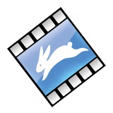 跑兔