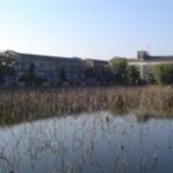 柯纯建