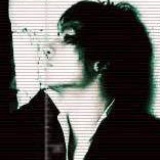 丢了叶子的树