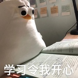 迷迷kun