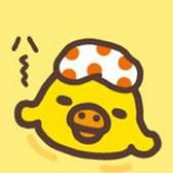 Q酱