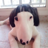 她心