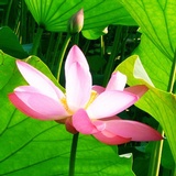 沧澜