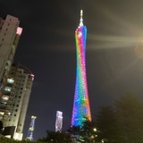 我是一只鱼