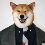 野良犬
