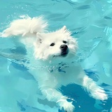 奥古斯汀