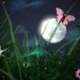 cherryfly822