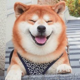 庄生梦蝶