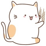 页猫子